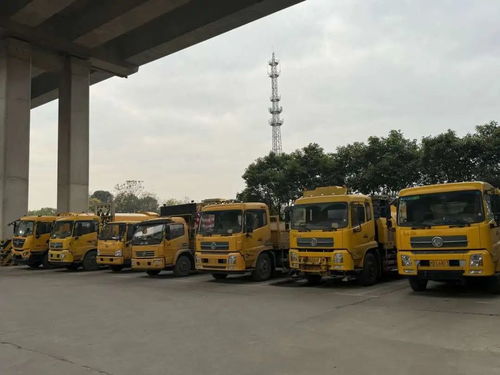 寒潮來襲，上海道路貨運行業多措并舉力保暢通